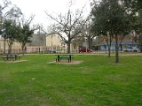 Glenmore Forest park 8000 Wingo Houston, Texas 77055 (12).JPG
